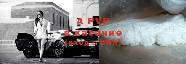 гидра Белокуриха