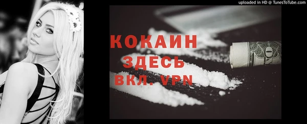 дмт Кинешма