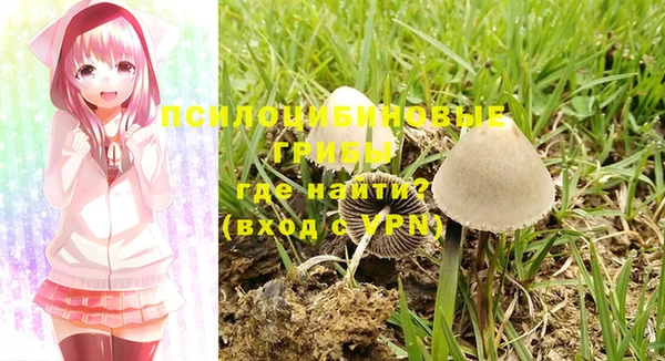 ешки Балахна