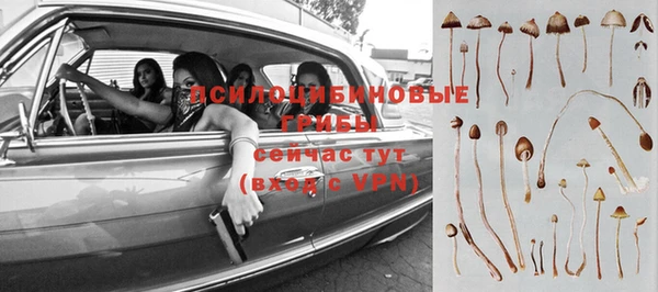 apvp Баксан