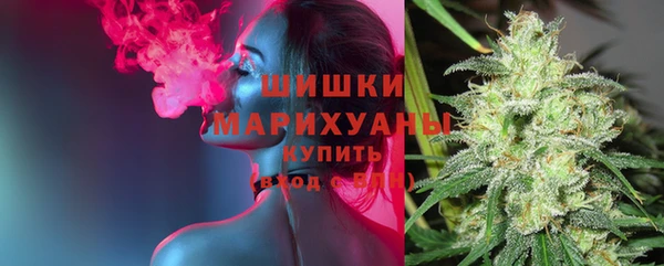 гидра Белокуриха