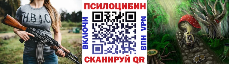 цены   Кодинск  Галлюциногенные грибы GOLDEN TEACHER 